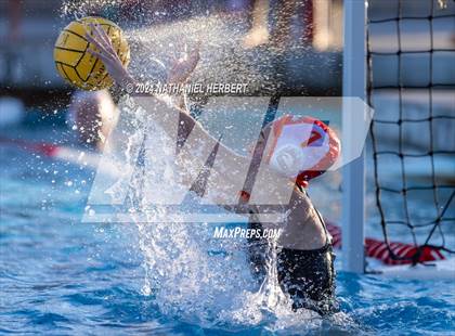Thumbnail 3 in Poly @ Los Osos photogallery.