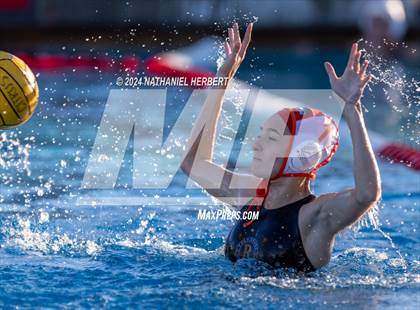 Thumbnail 2 in Poly @ Los Osos photogallery.