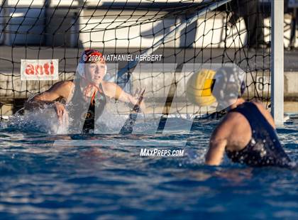Thumbnail 2 in Poly @ Los Osos photogallery.