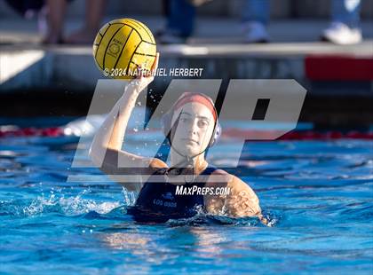Thumbnail 3 in Poly @ Los Osos photogallery.