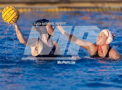 Thumbnail 1 in Poly @ Los Osos photogallery.