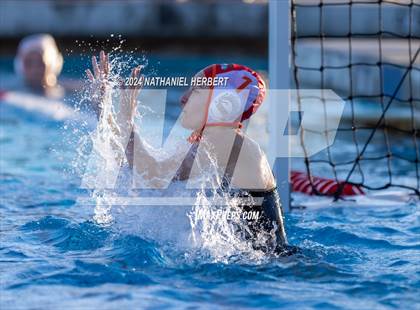 Thumbnail 1 in Poly @ Los Osos photogallery.