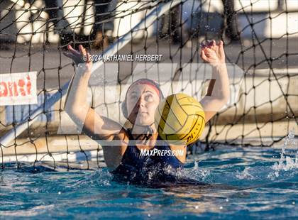 Thumbnail 2 in Poly @ Los Osos photogallery.
