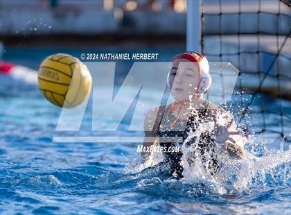 Thumbnail 3 in Poly @ Los Osos photogallery.