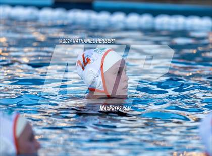 Thumbnail 1 in Poly @ Los Osos photogallery.