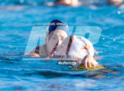 Thumbnail 3 in Poly @ Los Osos photogallery.