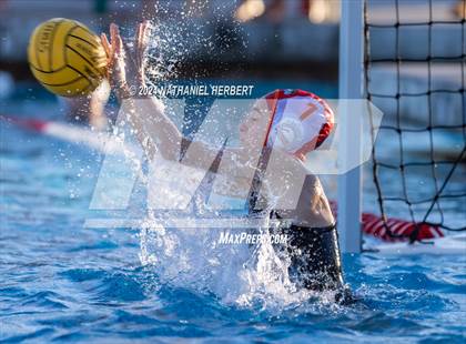 Thumbnail 2 in Poly @ Los Osos photogallery.