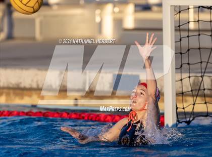 Thumbnail 3 in Poly @ Los Osos photogallery.