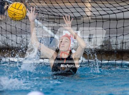 Thumbnail 3 in Poly @ Los Osos photogallery.