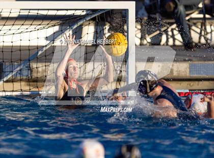 Thumbnail 3 in Poly @ Los Osos photogallery.