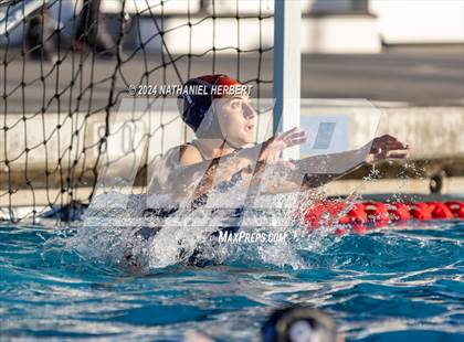 Thumbnail 1 in Poly @ Los Osos photogallery.