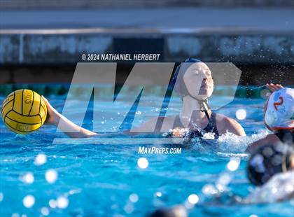 Thumbnail 2 in Poly @ Los Osos photogallery.