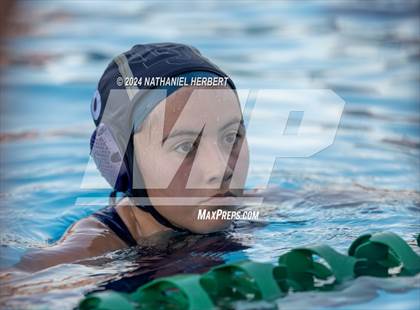 Thumbnail 1 in Poly @ Los Osos photogallery.