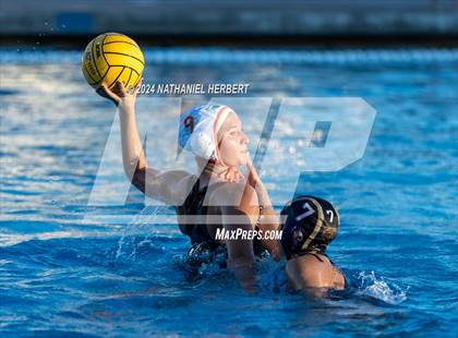 Thumbnail 3 in Poly @ Los Osos photogallery.