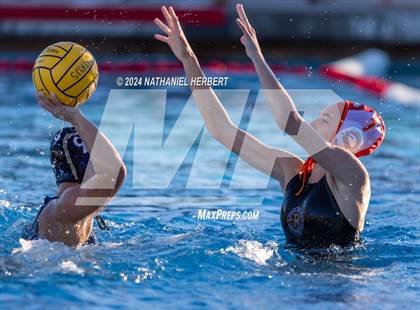 Thumbnail 1 in Poly @ Los Osos photogallery.