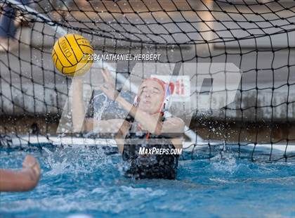 Thumbnail 2 in Poly @ Los Osos photogallery.