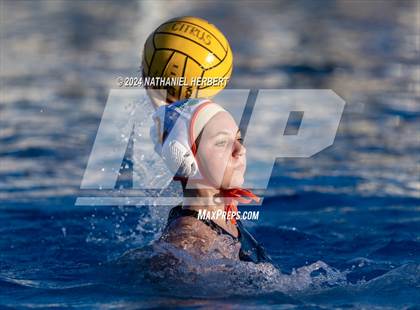 Thumbnail 1 in Poly @ Los Osos photogallery.