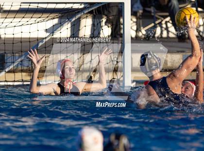 Thumbnail 3 in Poly @ Los Osos photogallery.