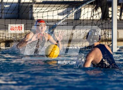 Thumbnail 3 in Poly @ Los Osos photogallery.