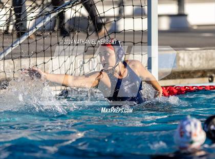 Thumbnail 1 in Poly @ Los Osos photogallery.