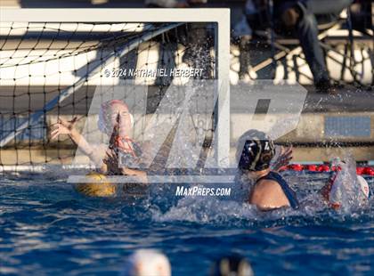 Thumbnail 3 in Poly @ Los Osos photogallery.