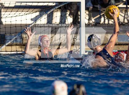 Thumbnail 1 in Poly @ Los Osos photogallery.