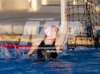 Thumbnail 1 in Poly @ Los Osos photogallery.
