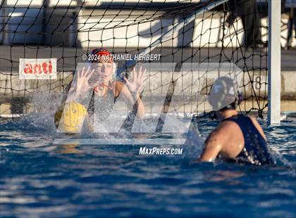 Thumbnail 1 in Poly @ Los Osos photogallery.