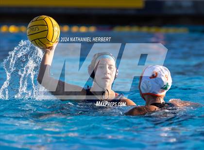 Thumbnail 1 in Poly @ Los Osos photogallery.