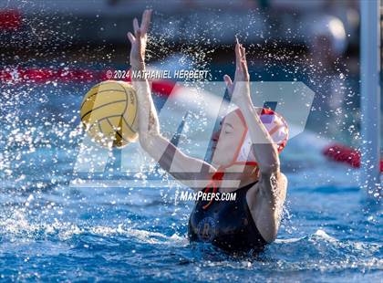 Thumbnail 3 in Poly @ Los Osos photogallery.
