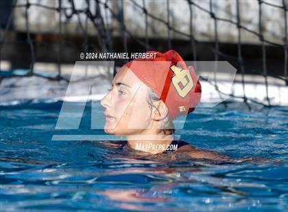 Thumbnail 1 in Poly @ Los Osos photogallery.