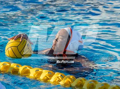 Thumbnail 1 in Poly @ Los Osos photogallery.