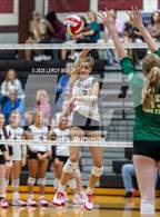 Photo from the gallery "Fox Creek @ Greenbrier"