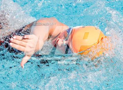 Thumbnail 3 in AIA D1 Finals photogallery.