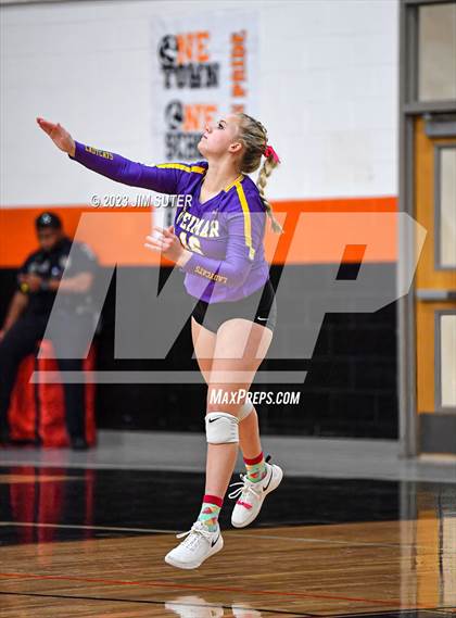 Thumbnail 2 in Weimar vs Burton (UIL 2A Region IV Area Playoff) photogallery.