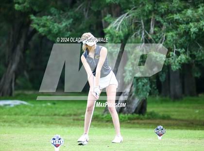 Thumbnail 3 in UIL Golf 2A Finals photogallery.