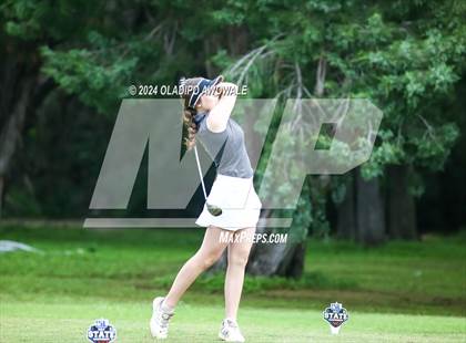 Thumbnail 3 in UIL Golf 2A Finals photogallery.