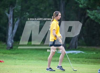 Thumbnail 2 in UIL Golf 2A Finals photogallery.
