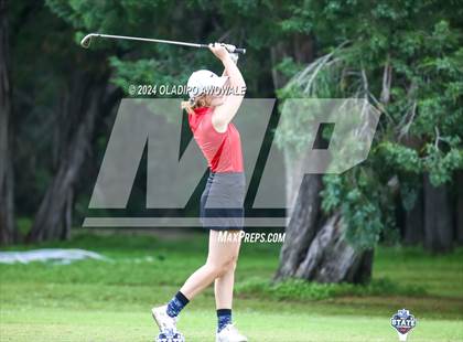 Thumbnail 1 in UIL Golf 2A Finals photogallery.
