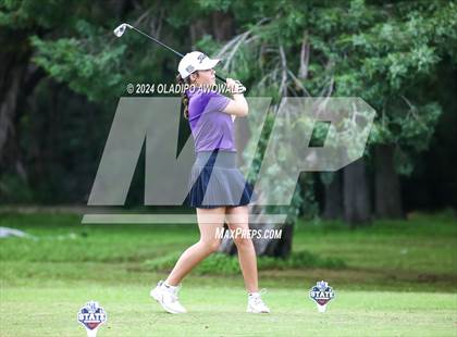 Thumbnail 3 in UIL Golf 2A Finals photogallery.