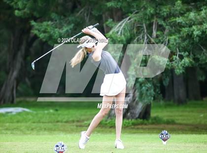 Thumbnail 1 in UIL Golf 2A Finals photogallery.