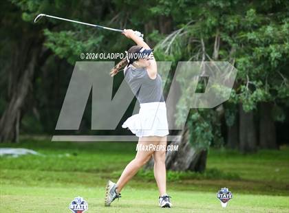 Thumbnail 1 in UIL Golf 2A Finals photogallery.