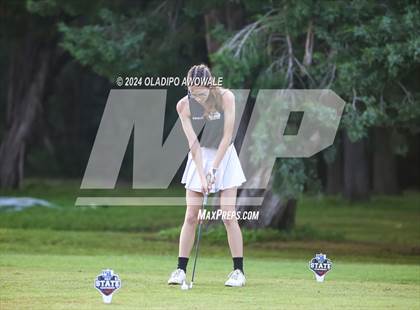 Thumbnail 2 in UIL Golf 2A Finals photogallery.