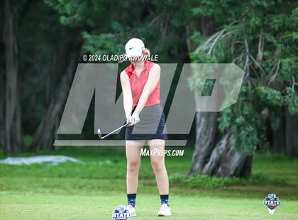 Thumbnail 3 in UIL Golf 2A Finals photogallery.