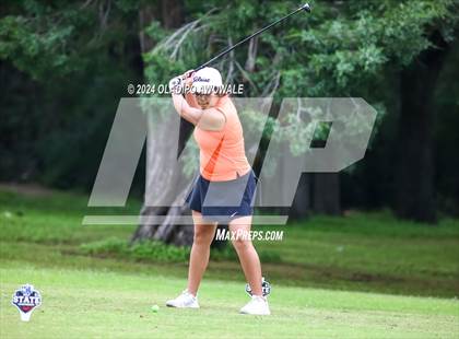 Thumbnail 2 in UIL Golf 2A Finals photogallery.