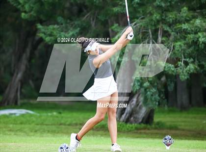 Thumbnail 1 in UIL Golf 2A Finals photogallery.