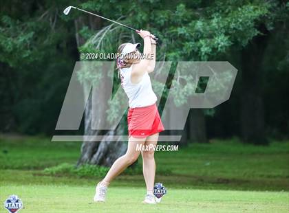 Thumbnail 2 in UIL Golf 2A Finals photogallery.