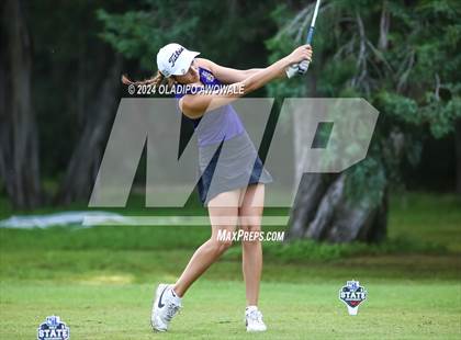 Thumbnail 2 in UIL Golf 2A Finals photogallery.