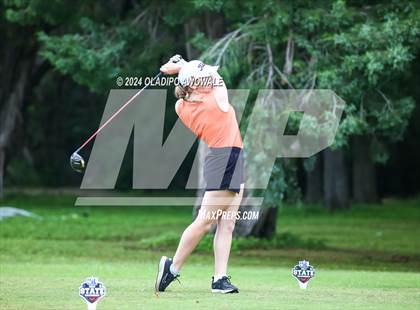 Thumbnail 3 in UIL Golf 2A Finals photogallery.