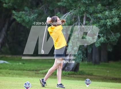 Thumbnail 2 in UIL Golf 2A Finals photogallery.